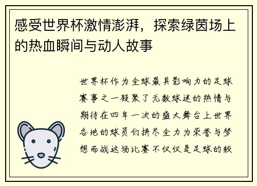 感受世界杯激情澎湃，探索绿茵场上的热血瞬间与动人故事